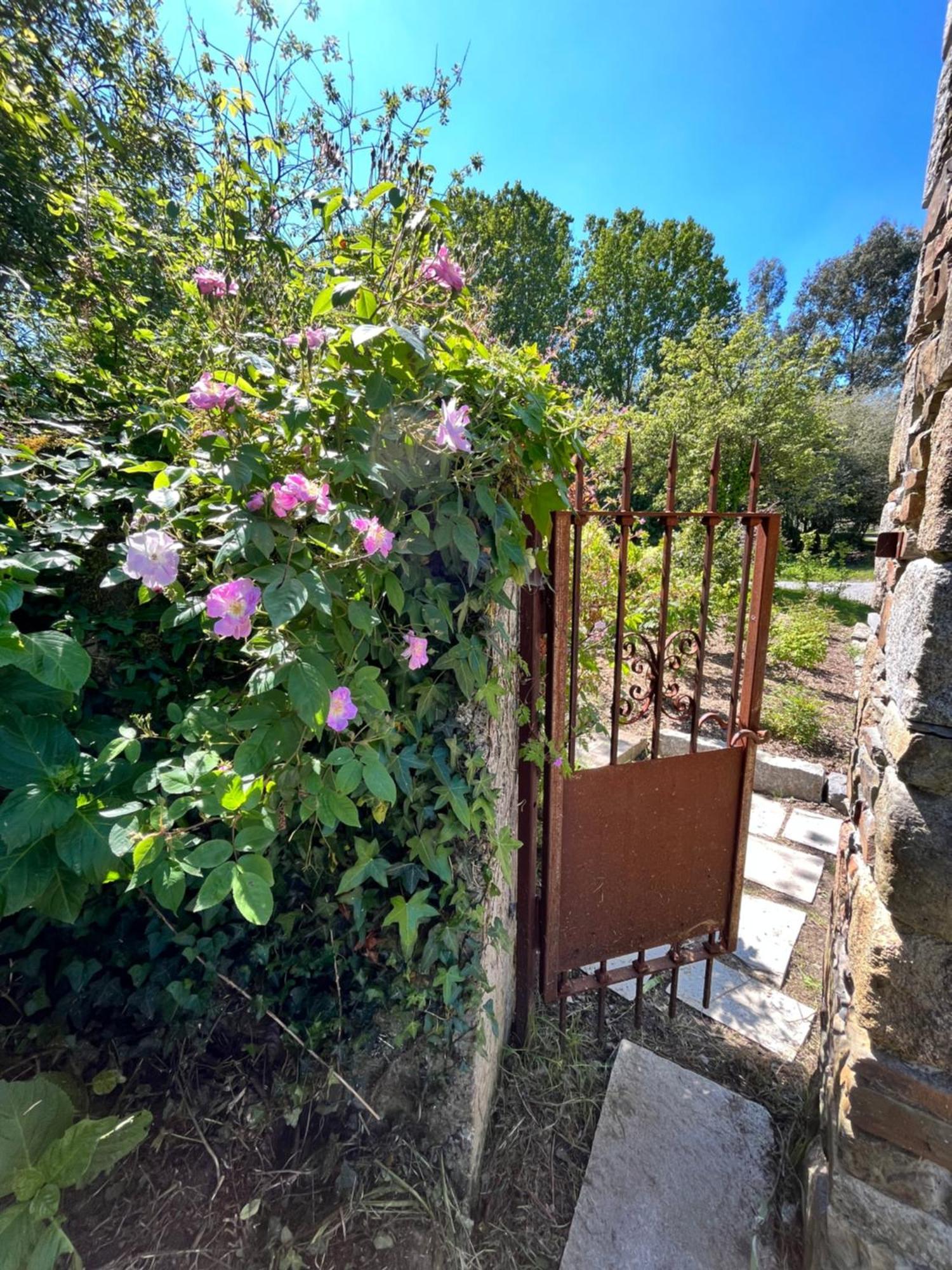 Hotel Domaine Du Tertre Ychot Dol-de-Bretagne Zewnętrze zdjęcie