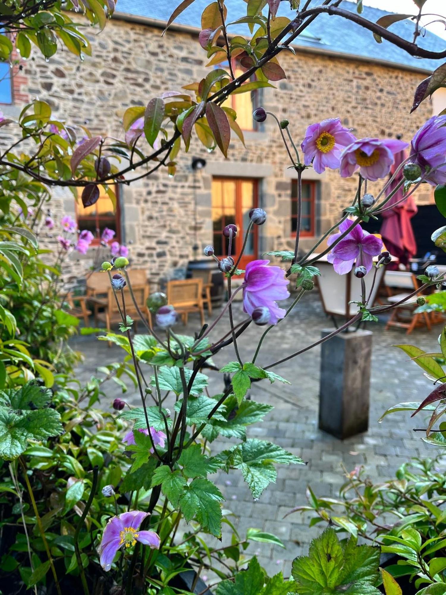 Hotel Domaine Du Tertre Ychot Dol-de-Bretagne Zewnętrze zdjęcie